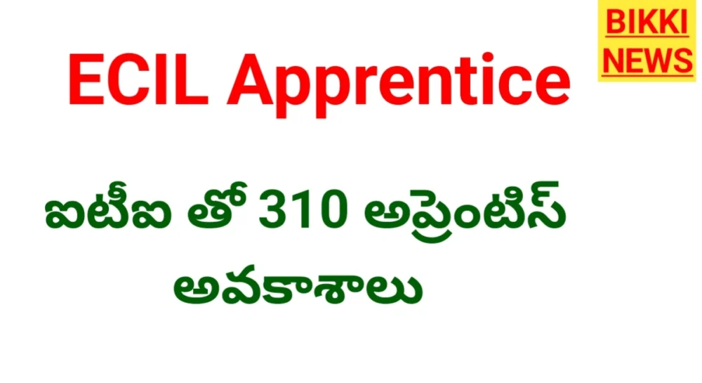 Ecil apprentice recruitment 2026