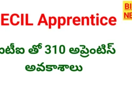 Ecil apprentice recruitment 2026