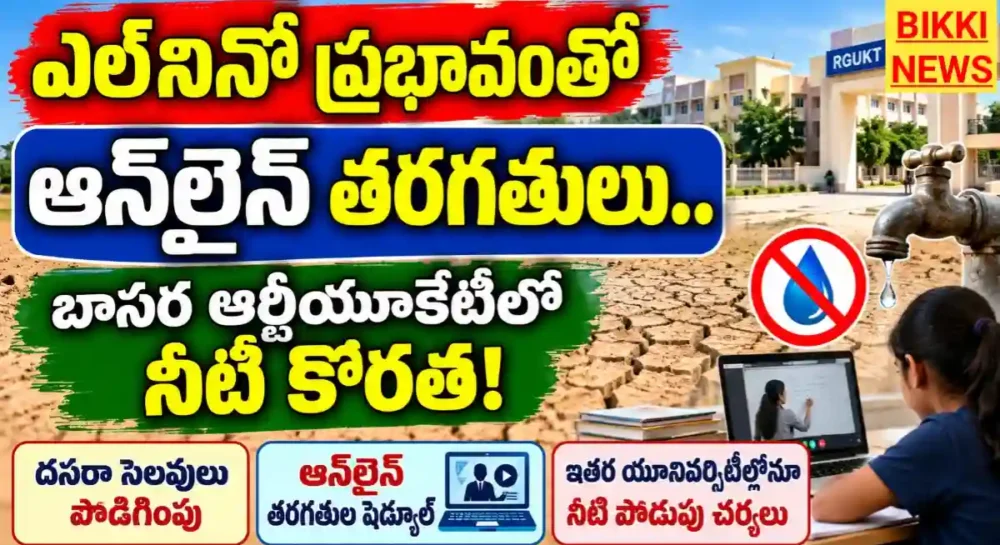 El nino effect online classes