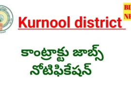 Kurnool District Jobs - శిశు సంక్షేమ శాఖలో కాంట్రాక్టు జాబ్స్ Kurnool district jobs notification.