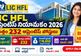 Lic Hfl Apprenticeship Recruitment 2026 - ఎల్ఐసీ హౌసింగ్ ఫైనాన్స్లో 232 అప్రెంటిస్ పోస్టులు Lic hfl apprenticeship recruitment 2026