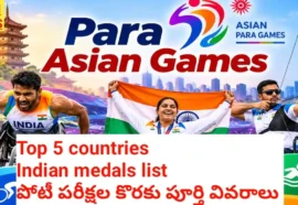 Para Asian Games 2026 Complete Story In Telugu -114 పతకాలతో భారత్ చారిత్రక రికార్డు - పూర్తి వివరాలు Para asian games 2026 complete story in telugu