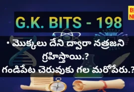 Standard Gk Bits In Telugu Part 198 - జీకే బిట్స్ Standard gk bits in telugu part 198