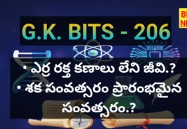 Standard Gk Bits In Telugu Part 206 - జీకే బిట్స్ Standard gk bits in telugu part 206