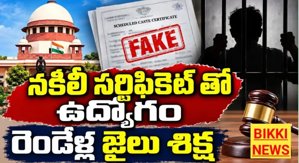 Supreme court on fake certificate employee