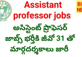Telangana Assistant Professor Recruitment 2026 - అసిస్టెంట్ ప్రొఫెసర్ జాబ్స్ భర్తీకి మార్గదర్శకాల జీవో 31 Telangana assistant professor recruitment 2026