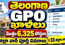 Telangana Gpo Vacancies - జిల్లా వారీగా 6,325 పోస్టుల వివరాలు Telangana gpo vacancies