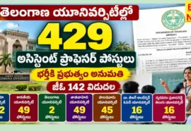 Telangana Universities Assistant Professor Jobs - 429 అసిస్టెంట్ ప్రొఫెసర్ పోస్టుల భర్తీకి అనుమతి Telangana universities assistant professor jobs