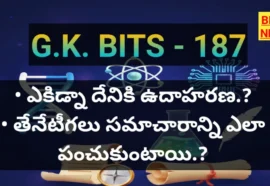 Top Gk Bits In Telugu Part 187 - జీకే బిట్స్ Top gk bits in telugu part 187