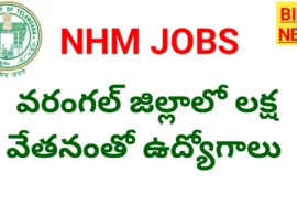 Warangal Nhm Recruitment 2026 - తెలంగాణలో 38 ఉద్యోగాలు - రూ.1 లక్ష వరకు జీతం Warangal nhm recruitment 2026