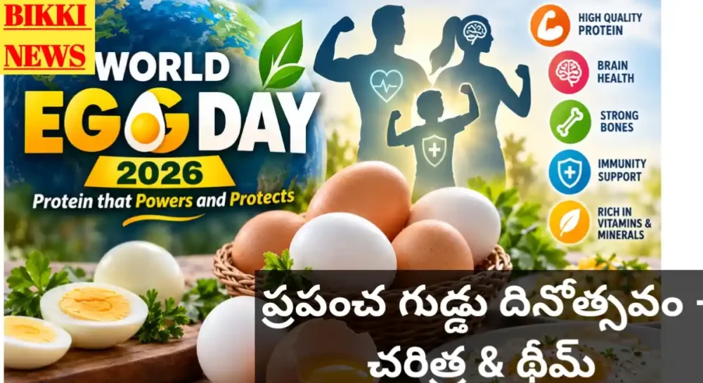 World Egg Day October 13Th - ప్రపంచ గుడ్డు దినోత్సవం - థీమ్ World egg day october 13th