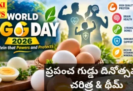 World Egg Day October 13Th - ప్రపంచ గుడ్డు దినోత్సవం - థీమ్ World egg day october 13th