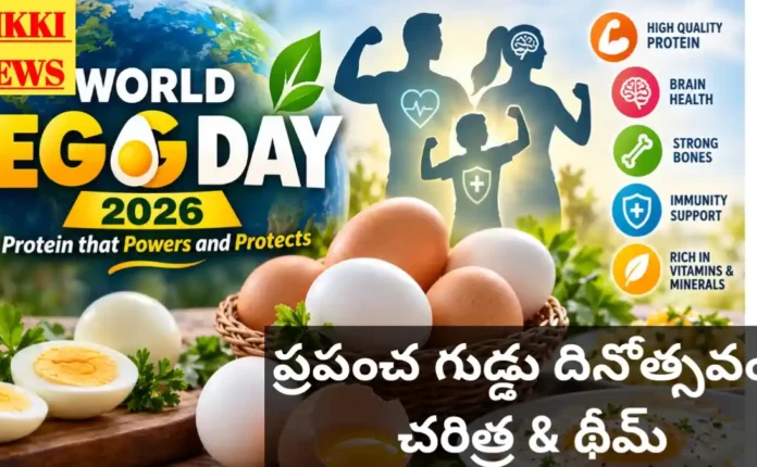 World Egg Day October 13Th - ప్రపంచ గుడ్డు దినోత్సవం - థీమ్ World egg day october 13th